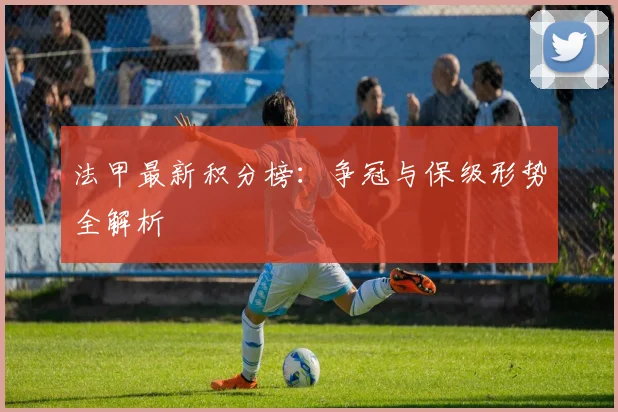 法甲最新积分榜：争冠与保级形势全解析